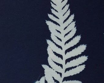 Tiny Fern Cyanotype Print
