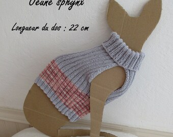 Cotton for young Sphynx cat sweater