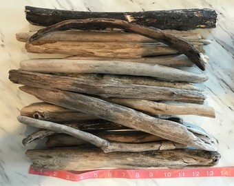 Driftwood (11-15 inches) Chesapeake Bay