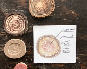 Tree Rings Rubber Stamp Set Hand Carved Montessori Materials