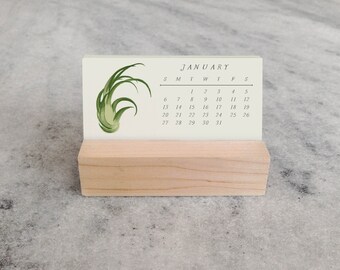 Air Plants 2019 Mini Desk Calendar | Tillandsia Mini Desk Calendar 2019 | Monthly Calendar, stocking stuffer