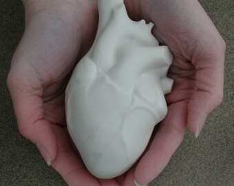 Anatomical Heart Sculpture
