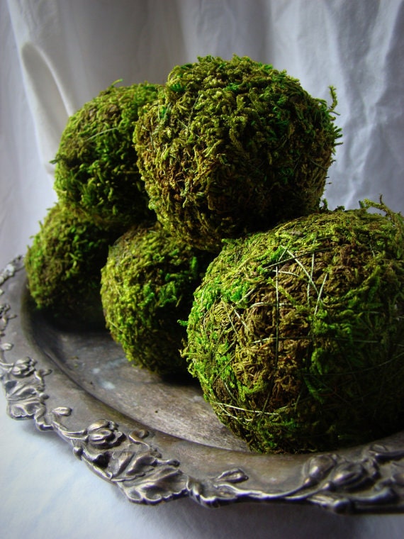 Moss Balls 4'' Moss Balls Green Decor Green Balls