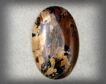 Rocky Butte Jasper Cabochon