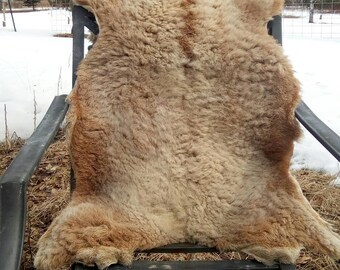 Sheep hide | Etsy