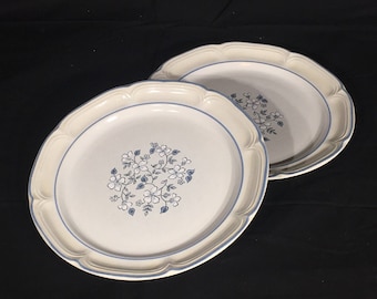 Vintage Dinner Plates, Avondale Stoneware, Covington Dinnerware, Decorative Garden Flower Theme Dishes, Blue & White Ceramic Plates