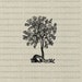 Fruit Tree Vector Instant Download Clip Art Shaddock Tree Graphic Clipart Vintage Nature Botanical Illustration jpg png eps WEB1755BL