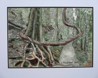 Nature's Swing in Dorrigo Rainforest Charcoal and Graphite Sticks