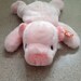Vintage 1998 Ty Squealer the Pig Beanie Buddy