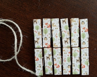 Woodland Creatures Baby Shower -Fox, Deer, Bunnies, Hedgehogs - Chunky Little Clothespin Clips w Twine for Display - Set of 12 - Boy Girl -
