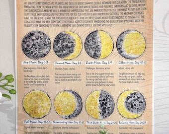 Lunar Phases Poster - Tan, Moon Phases Art