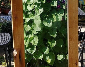 Barn wood mirror