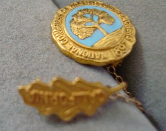 NATIONAL Congress of PARENTS and TEACHERS giveaway lapel pin -- - see description for further info