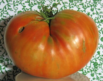 Donskoi Heirloom Giant Tomato Seeds