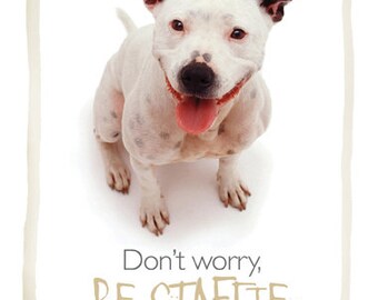 Staffy staffordshire bull terrier card