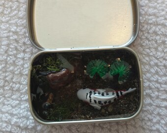 Miniature Resin Koi Pond in Small Altoids Tin