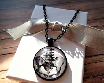 Pelvis Black Keychain or Necklace | Pelvic Bone, Organs, Bones, Skeleton, Surgery, Medical Gift, Doctor Gift, Orthopedist Gift