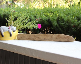 Free Standing Craft 15" Driftwood Sign , Make Your Own Beach Decoration , Natural Art Supplies