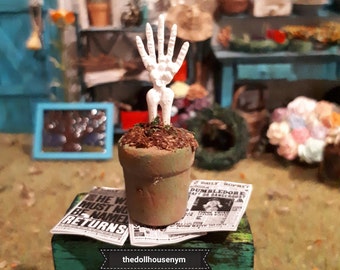 Miniature 1:12, calavera hand in pot, great to decorate our witch and wizard houses or magic stores.