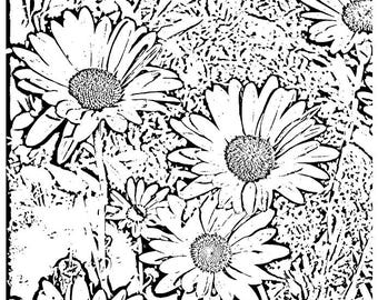 Color Me Daisy Group (notecard) 5.5 x 4.25