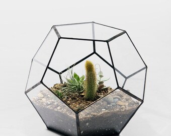 More in stock!!!! Geometric Glass Pot, Succulent Terrarium, Air Plant Planter