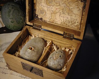 Faerie Realm Specimen Curio Box Props "HANDMADE" Fantasy Creature/Mythology/Folklore/dungeonsanddragons/dragon/oddities/fantasycreature/larp
