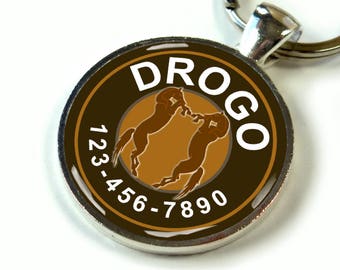 Custom pet id tag unique pet id tag dog tag cat tag game of thrones dothraki drogo