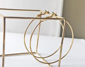 Titanium Earrings, Hoop Earrings Hypoallergenic, 50 mm Hoops , #105