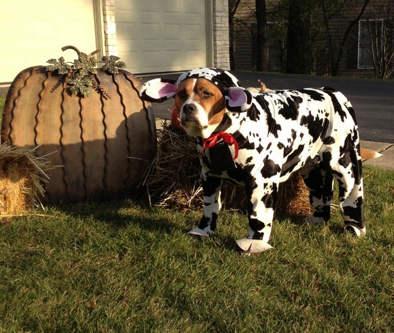Extra Large Breed Dog Halloween Costumes Extra Large Breed Dog Halloween Costumes