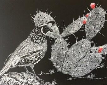 Scratchboard Art Quail and Cactus