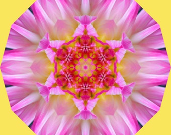 Pink Dahlia Mandala - 8 x 8 Photographic Print