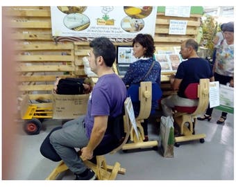 Ergonomic Chair rocker/Wheels