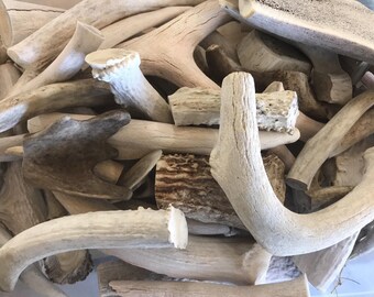 5-Pounds-Deer-Antler-Scraps-Pieces-Chunks-Grades-A-B-and-C