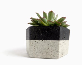 Urban Hexagon Concrete Pot for Succulent Home Decor Grey Planter
