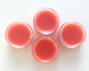 Coral lip tint / Vegan cream blush / Cruelty free makeup/ Mineral makeup /Vegan lip stain / Mineral cream blush / Organic makeup /