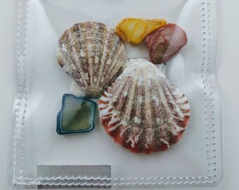 Infant Toddler Discovery Pouch with Shells and Seaglass