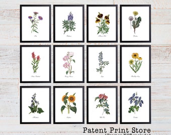 Vintage Wildflower Prints. Botanical Print Set. Wildflower Art. Vintage Botanical Art. Wildflower Decor. Farmhouse Art. Botanical Wall Art.