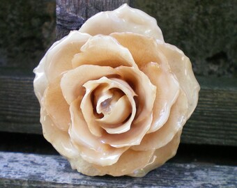 Free Shipping REAL Cream Beige ROSE Pin and Pendant Nature Inspired Jewelry