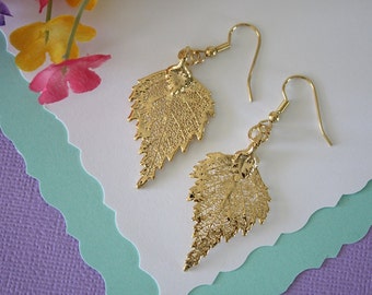 Gold Leaf Earrings, Birch Leaf, Real Leaf Earrings , 24kt Gold, Nature, Organic Earrings, LESM194