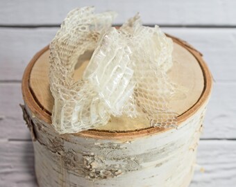 Snake Skin- Hermit Crab Food - Organic - Hermit Crab - Pet Food