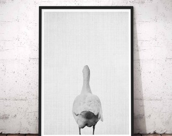Farmhouse Bathroom Decor, Kids Bathroom Art, Black and White Goose Print, Nursery Animal Wall Art, Bathroom Wall decor Funny, Wall art kids