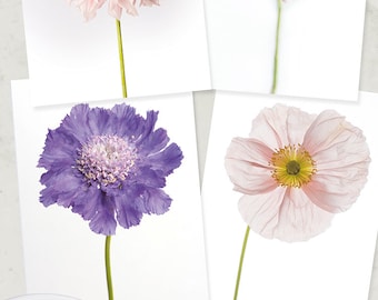 Flower Photo Notecard - Flower Collection of Dahlia, Rose, Poppy, Note Card, Floral Photo Notecard, Stationery, Blank Notecard
