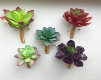 5 succulent boutonnieres
