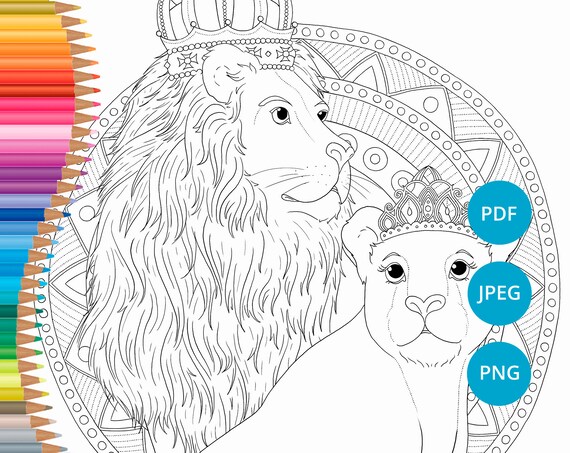 Lion Coloring Pages Lioness Adult Book Printable