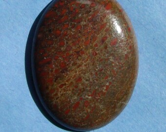 Fossilized Dinosaur Bone Cabochon