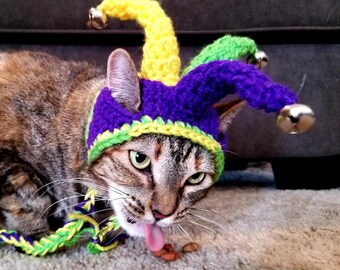 Jester Cat Hat
