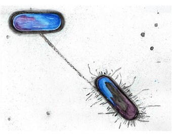 Conjugation, Science art, Watercolor Painting, Microbiology, Microbes, Geekery, geekery art, bacteria, science art, watercolour print, bio
