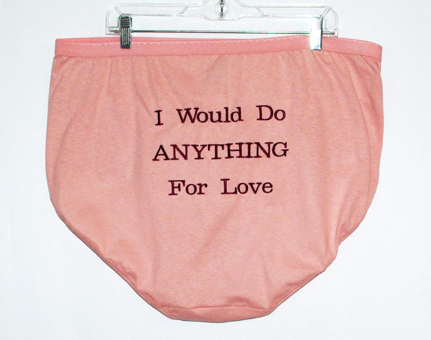 I Would Do Anything For Love Panties Embroidered Funny Custom