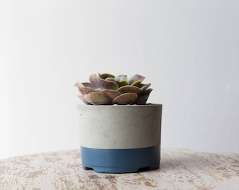 Mother's Day Gift for Her, Large Concrete Planter, Slate