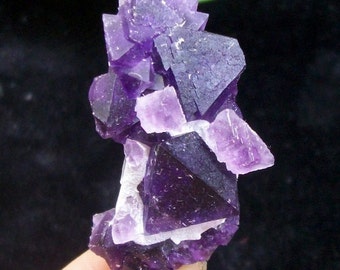 Great color Cubic Fluorite on Sharp Octahedron Purple Fluorite B3257 China